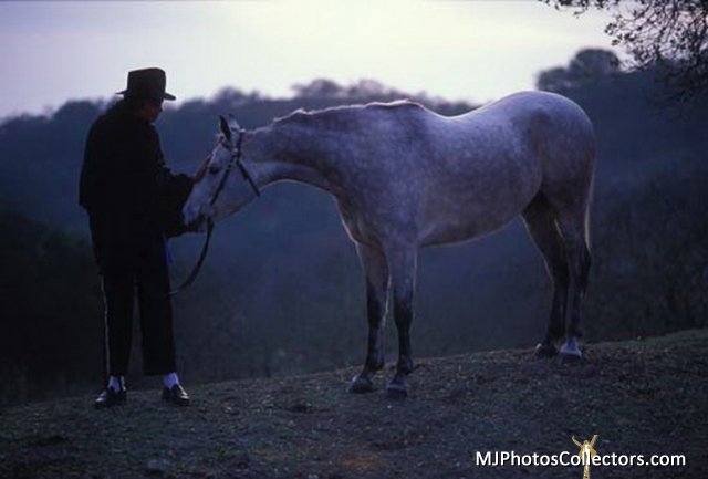 med_gallery_47_798_83459.jpg